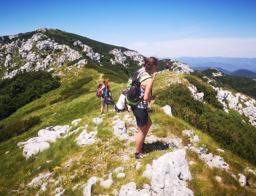 Strokovne ekskurzije na kraškem terenu/Stručne ekskurzije po krškom terenu