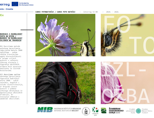 Objavljamo zmagovalce foto-natečaja CarEx! / Objavljujemo pobjednike CarEx foto-natječaja!