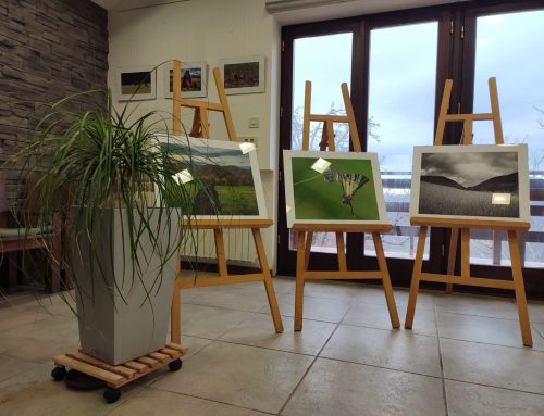 Odprtje fotografske razstave CarEx v Slanem Dolu / Otvorenje CarEx foto izložbe u Slanom Dolu