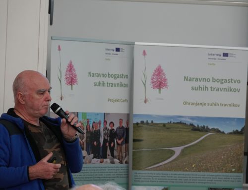 Medtem ko CarEx vrste in življenjski prostori počivajo / Dok CarEx vrste i staništa miruju