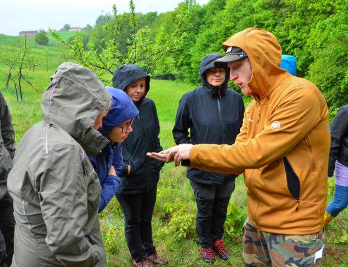 2. delavnica iz usposabljanja za prepoznavanje divjih opraševalcev / 2. radionica o determinaciji divljih oprašivača