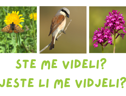 POZIV: Ali ste jih videli? / POZIV: Jeste li ih vidjeli?