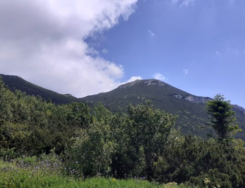 Međunarodna stručna vođena ekskurzija na Snežnik / Mednarodna strokovna vodena ekskurzija na Snežnik