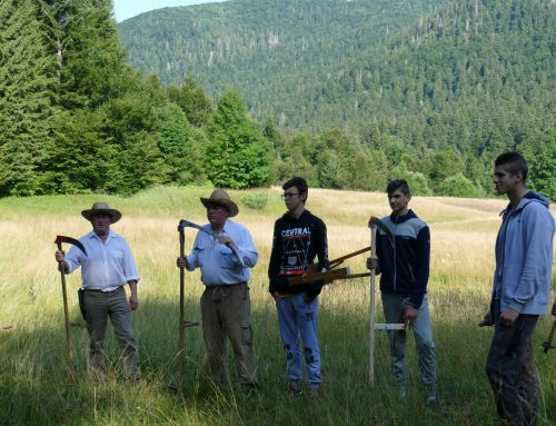 Radionica ručne košnje u Nacionalnom parku Risnjak / Delavnica ročne košnje v Nacionalnem parku Risnjak