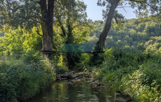 PXL_20250623_064534481