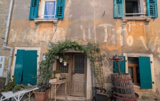 PXL_20250623_070227263 (1)