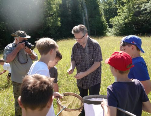 Projekt CarEx z »Mladimi varuhi narave« raziskoval suhe travnike / Projekt CarEx s »Mladim čuvarima prirode« istraživao suhe travnjake