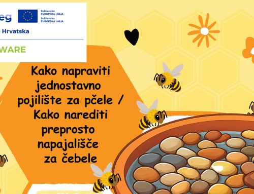Izrada jednostavne pojilice za pčele / Izdelava preproste napajalnice za čebele