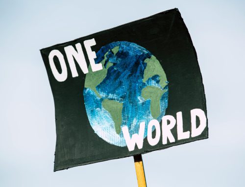 Vpliv emisij CO2 na globalno segrevanje/ Utjecaj emisija CO2 na globalno zagrijavanje