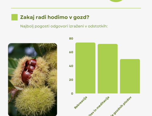 Gozd – prostor zdravja, sreče in navdiha! / Šuma – prostor zdravlja, sreće i inspiracije!