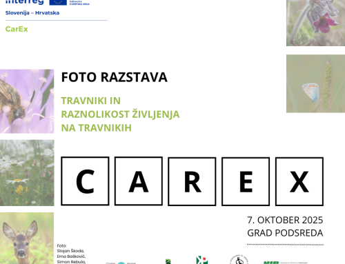 [CarEx] Objavljamo zmagovalce foto-natečaja! / Objavljujemo pobjednike foto-natječaja!