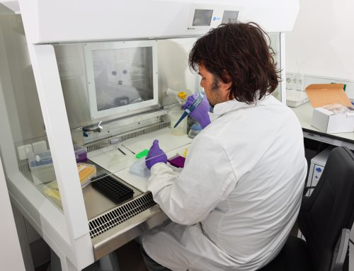 Biotska raznovrstnost suhih travnikov – metoda metabarkodiranja DNA / Bioraznolikost suhih travnjaka – metoda DNA metabarkodiranja