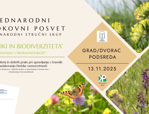 [CarEx] MEDNARODNI STROKOVNI POSVET /  MEĐUNARODNI STRUČNI SKUP