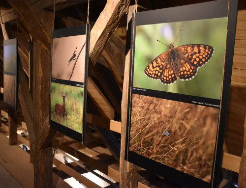 Otvoritev fotografske razstave CarEx na Gradu Podsreda / Otvorenje CarEx foto izložbe u dvorcu Podsreda