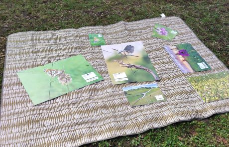 PKJ_ foto Ema Jevšnik (1)