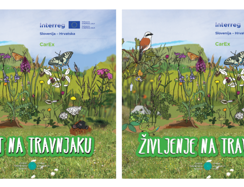 Nova publikacija o travnikih v okviru projekta CarEx! / Nova publikacija o travnjacima u sklopu CarEx projekta!