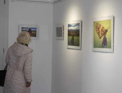 [Muzej baroka] Potujoča CarEx foto razstava / Putujuća CarEx foto izložba