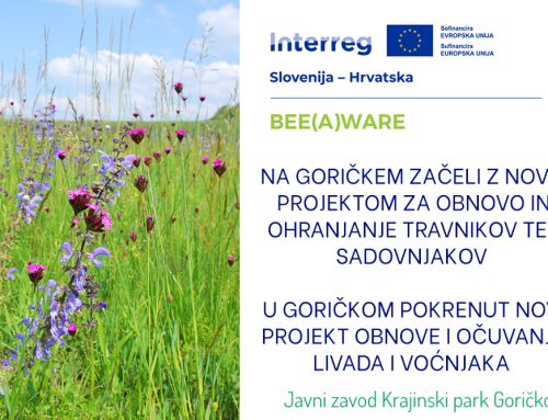 Na Goričkem začeli z novim projektom za obnovo in ohranjanje travnikov ter sadovnjakov / U Goričkom pokrenut novi projekt obnove i očuvanja livada i voćnjaka