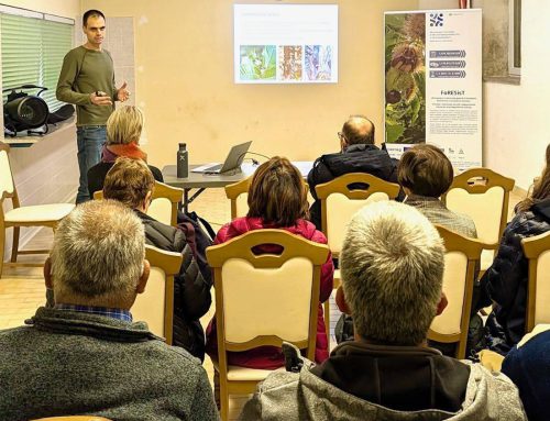 Delavnica »Gozdovi, kostanj in divjad na Krasu« / Radionica „Šume, kesten i divljač na Krasu“