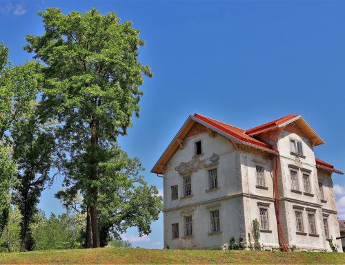 Izbira imena/ Odabir imena