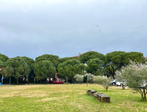 Projekt FoRESisT – korak bližje skupni čezmejni strategiji / Projekt FoRESisT – korak bliže zajedničkoj prekograničnoj strategiji