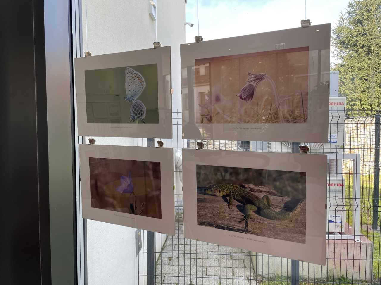 638181035_903152599015065_2358266320116524993_n