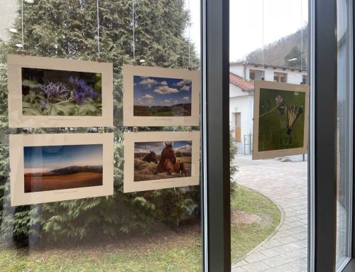 [Valvasorjeva knjižnica Krško] Potujoča CarEx foto razstava / Putujuća CarEx foto izložba