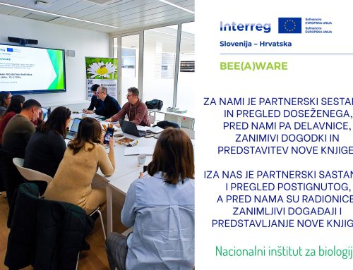 Partnerski sestanek in pregled doseženega / Partnerski sastanak i pregled postignutog