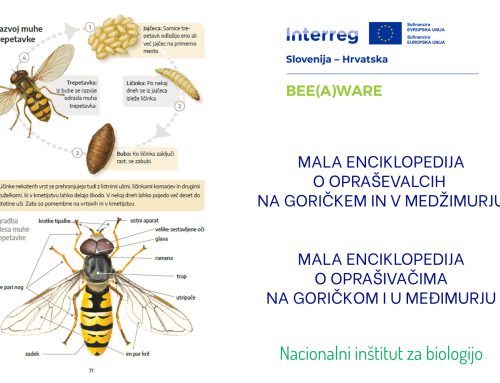 Mala enciklopedija o opraševalcih / Mala enciklopedija o oprašivačima