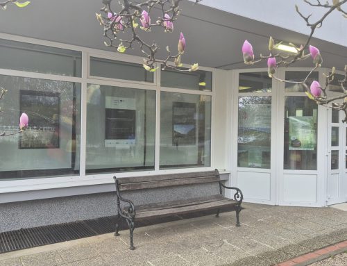 [Gradska knjižnica Samobor, odjel za djecu i mlade] Potujoča CarEx foto razstava / Putujuća CarEx foto izložba