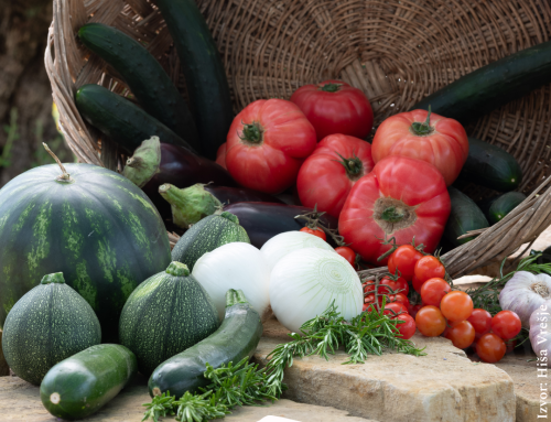 Potujoča Šavrinka – košarice kot povezava med dediščino in sodobno ponudbo / Putujuća Šavrinka – košarice kao poveznica tradicije i suvremene ponude
