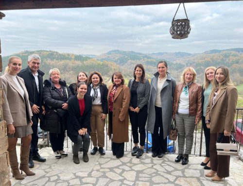 Sestanek projektnih partnerjev ŠAVRINKE v Pazinu / Sastanak projektnih partnera ŠAVRINKE u Pazinu