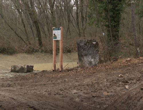 FoRESisT na RTV SLO – Ljudje in zemlja / FoRESisT na RTV SLO – Ljudi i zemlja