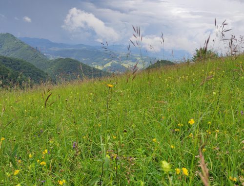 VABILO: Pohod na Veternik (SI) / POZIV: Pohod na Vetrnik (SI)