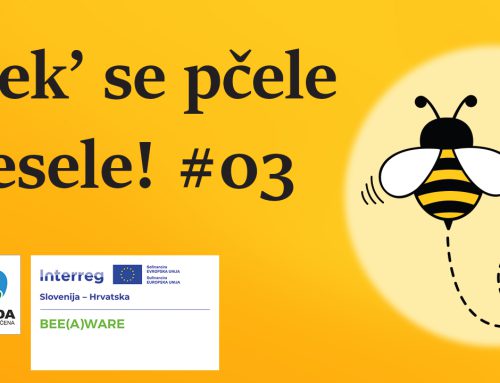 Mozaična košnja – zašto je bitno pravilno kositi? / Mozaična košnja – zakaj je pomembna pravilna košnja?