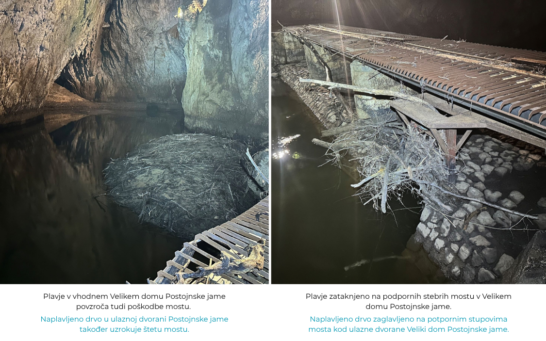 Kolaž fotografija naplavljenog drva u ulaznoj dvorani Postojnske jame