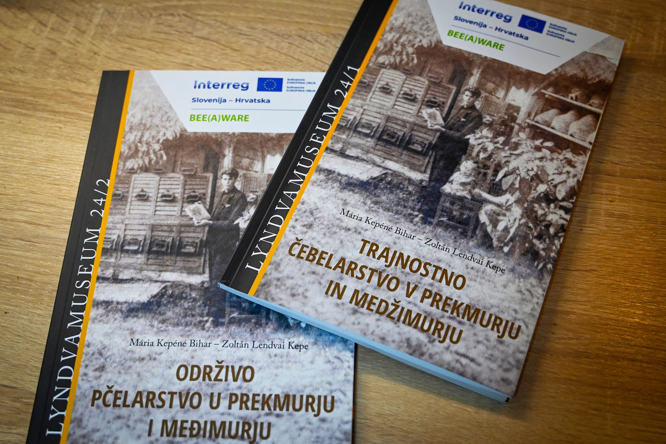 publikacija – lendava 2